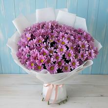 Букет цветов из:  Хризантемы в Белогорске Амурской области