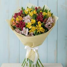Букет цветов из:  Альстромерии в Белогорске Амурской области