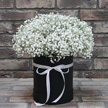 Цветочная композиция из Гипсофила в шляпной коробке #REPLACE_PRED# Белогорске Амурской области