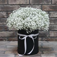 Цветочная композиция из Гипсофила в шляпной коробке в Белогорске Амурской области